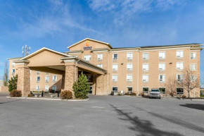 Отель Comfort Inn & Suites Airdrie  Эрдри